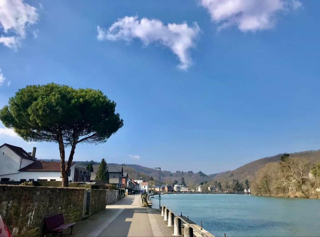 Escale Chambre D'Hotes Au Coeur Du Vieux Profondeville Entre Namur Et Dinant エクステリア 写真
