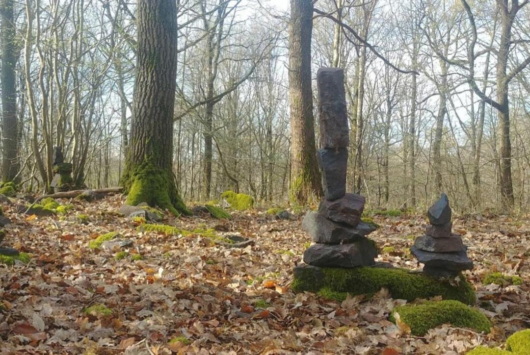 Escale Chambre D'Hotes Au Coeur Du Vieux Profondeville Entre Namur Et Dinant エクステリア 写真