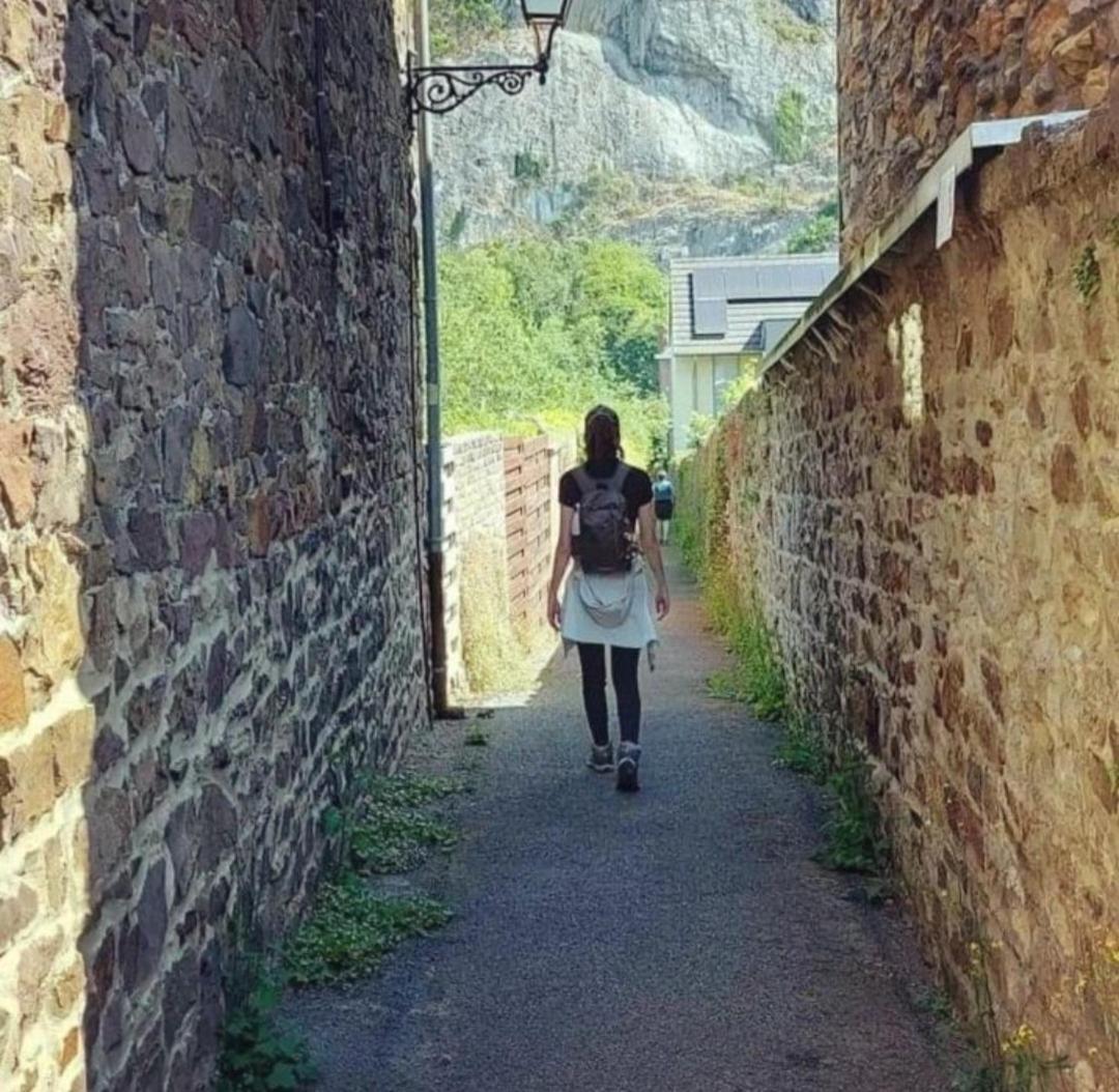 Escale Chambre D'Hotes Au Coeur Du Vieux Profondeville Entre Namur Et Dinant エクステリア 写真