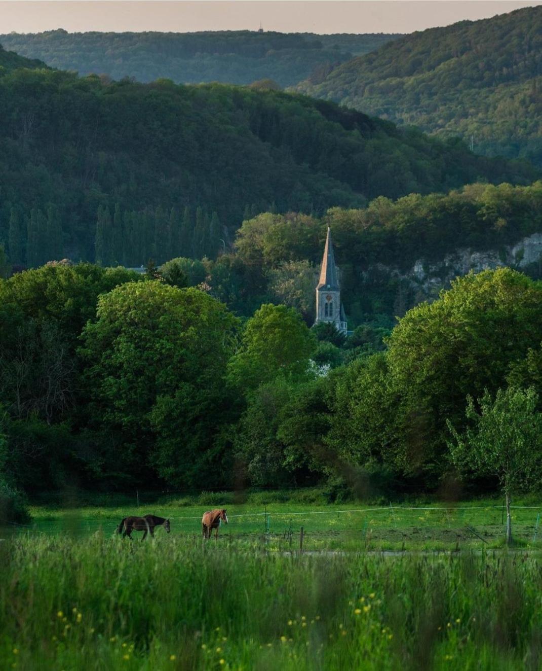 Escale Chambre D'Hotes Au Coeur Du Vieux Profondeville Entre Namur Et Dinant エクステリア 写真